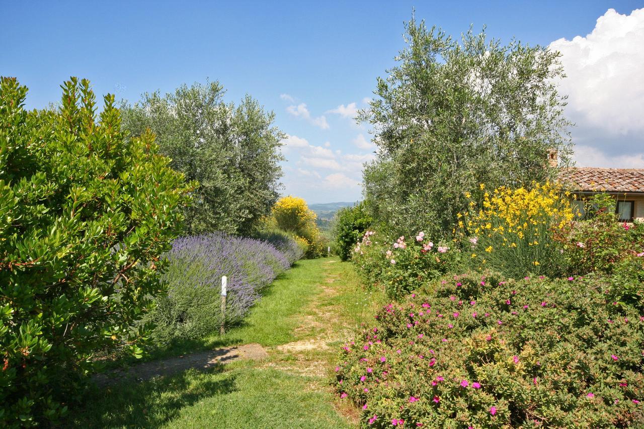 Podere Il Pino Poggibonsi Bagian luar foto