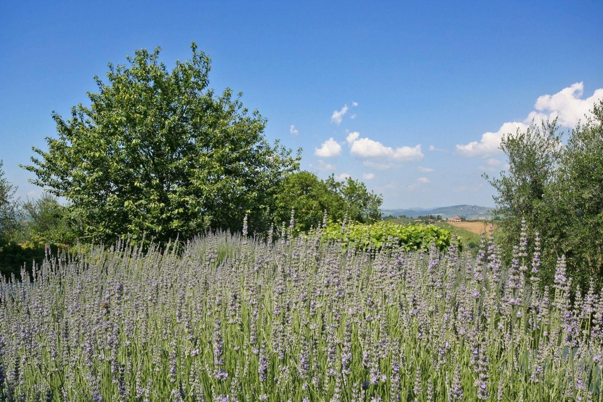 Podere Il Pino Poggibonsi Bagian luar foto